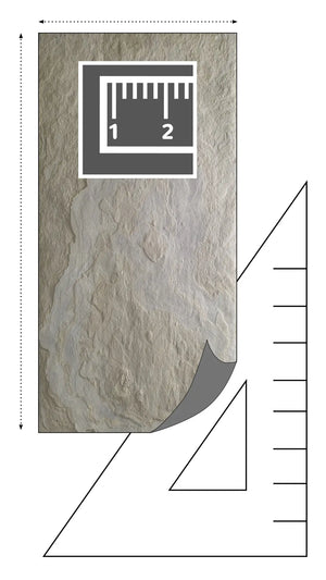 Slate-Lite Tan