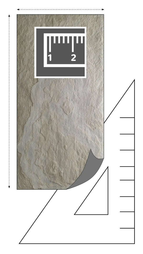 Slate-Lite Tan