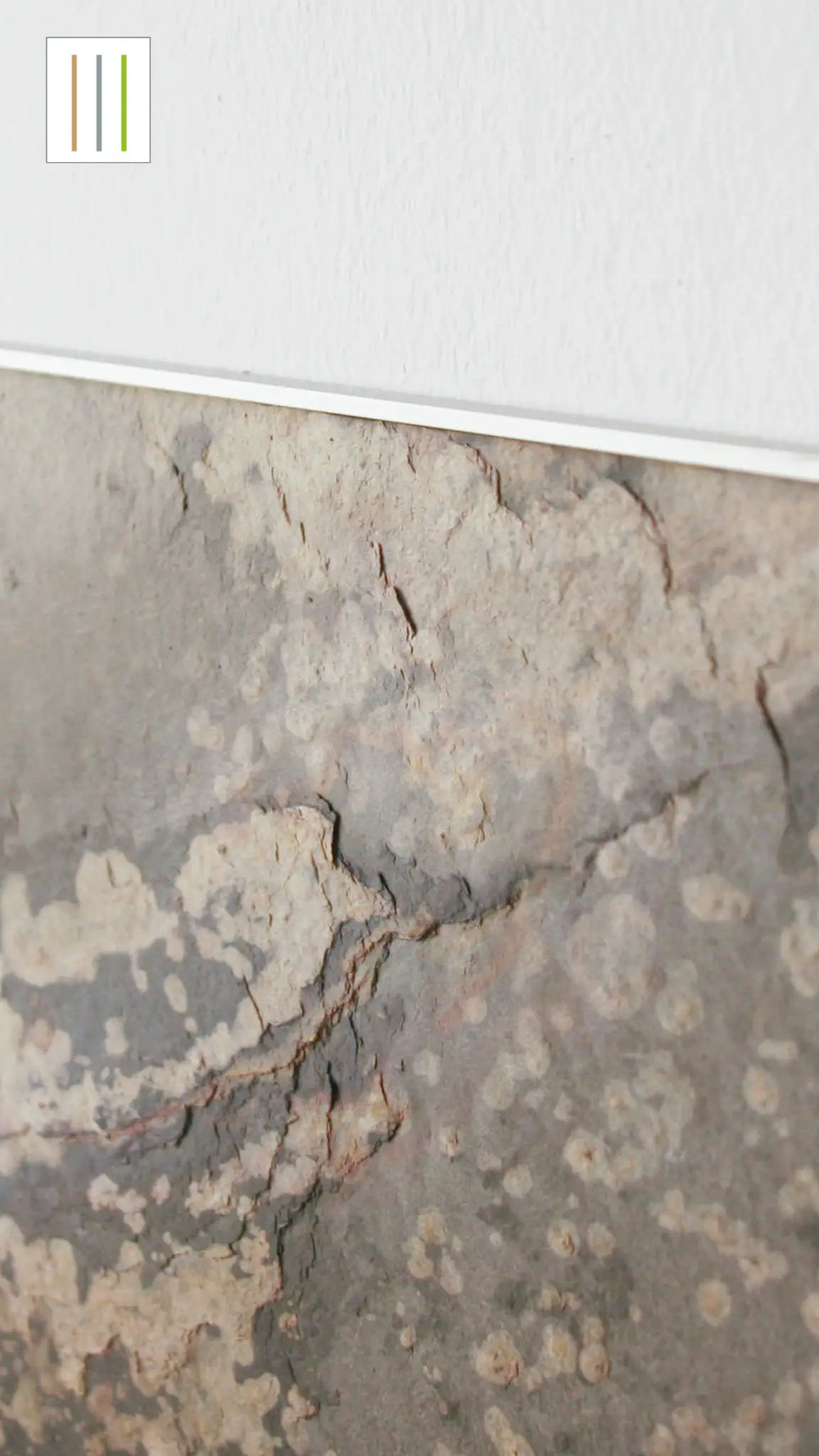 Profile 250cm finishing edge