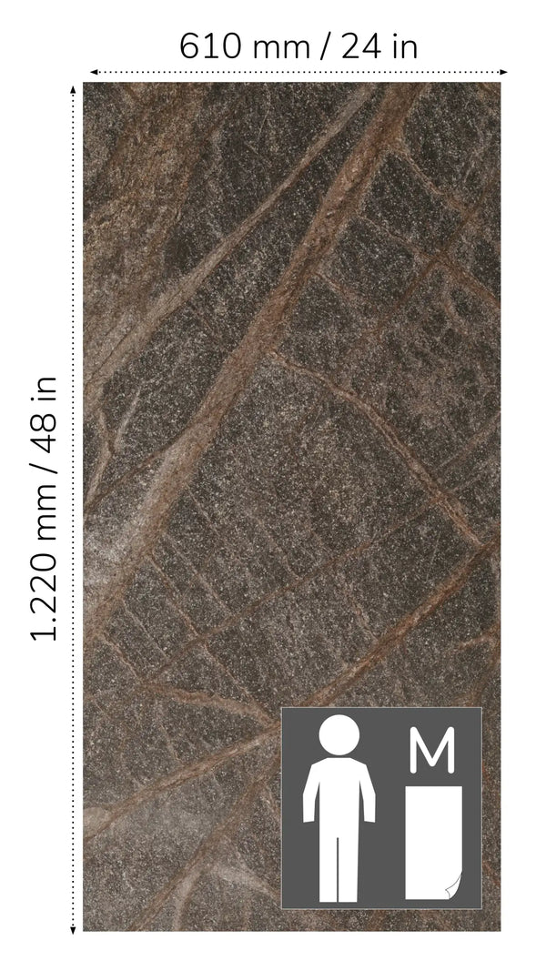 Slate-Lite Rainforest Brown