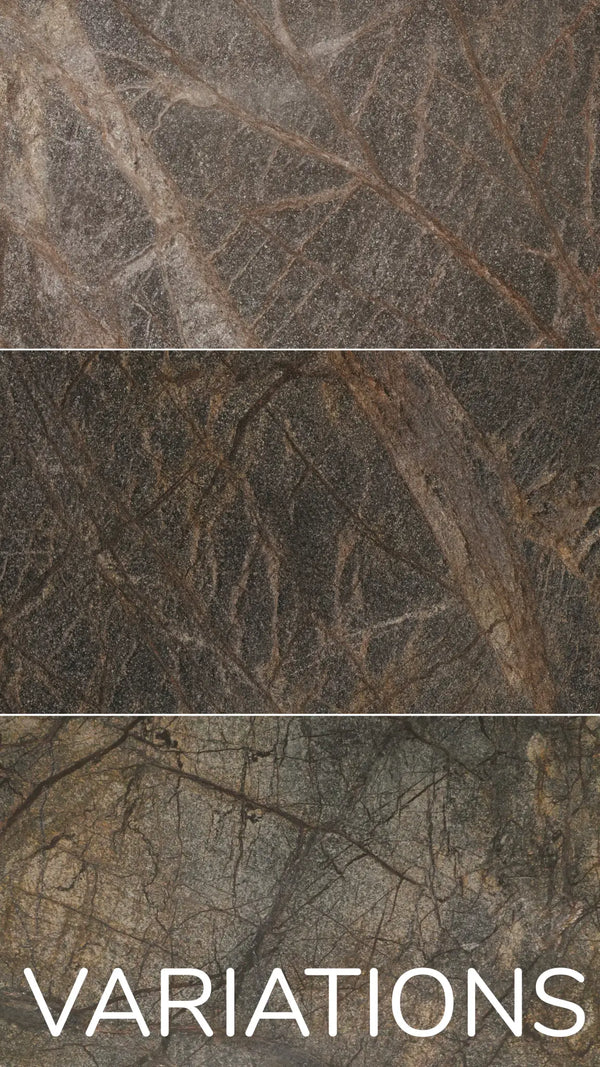 Slate-Lite Rainforest Brown
