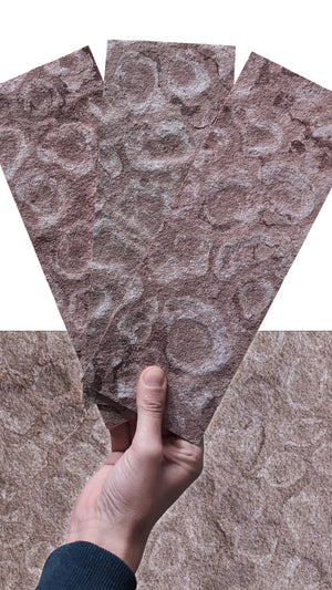 Slate-Lite Red Shell