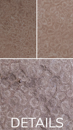 Slate-Lite Red Shell