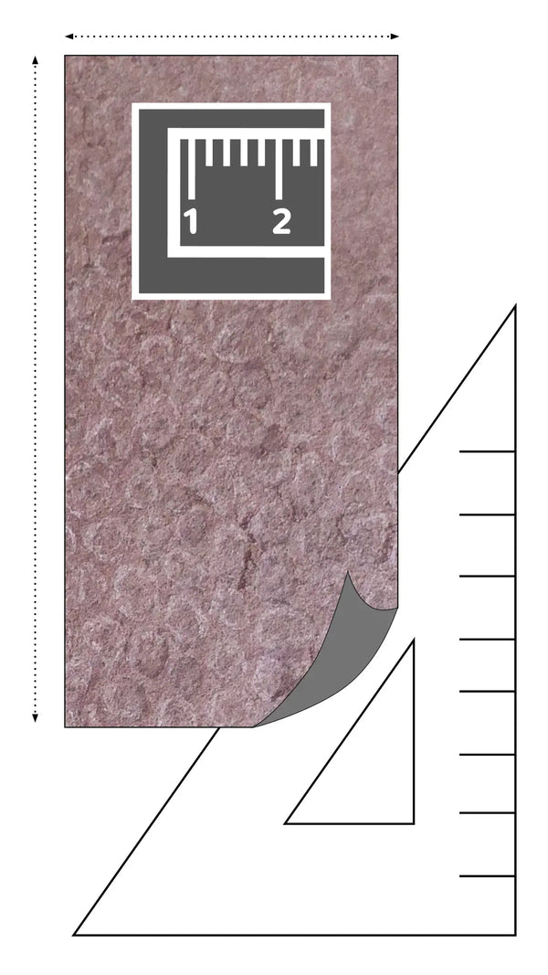 Slate-Lite Red Shell