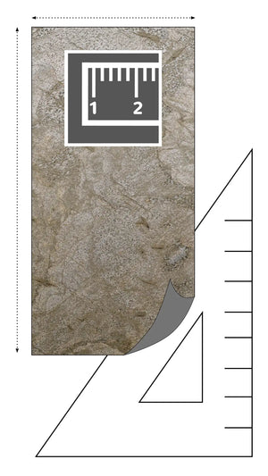 Slate-Lite VERDE GRIS